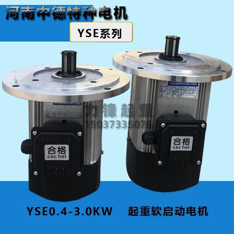 中德特种起重铝壳软启动电机YSE0.8/1.5KW软起动单梁起重电机,鲜花速递/花卉仿真/绿植园艺,洒水/浇水壶,淘宝优惠券,粉丝福利购,淘宝优惠卷