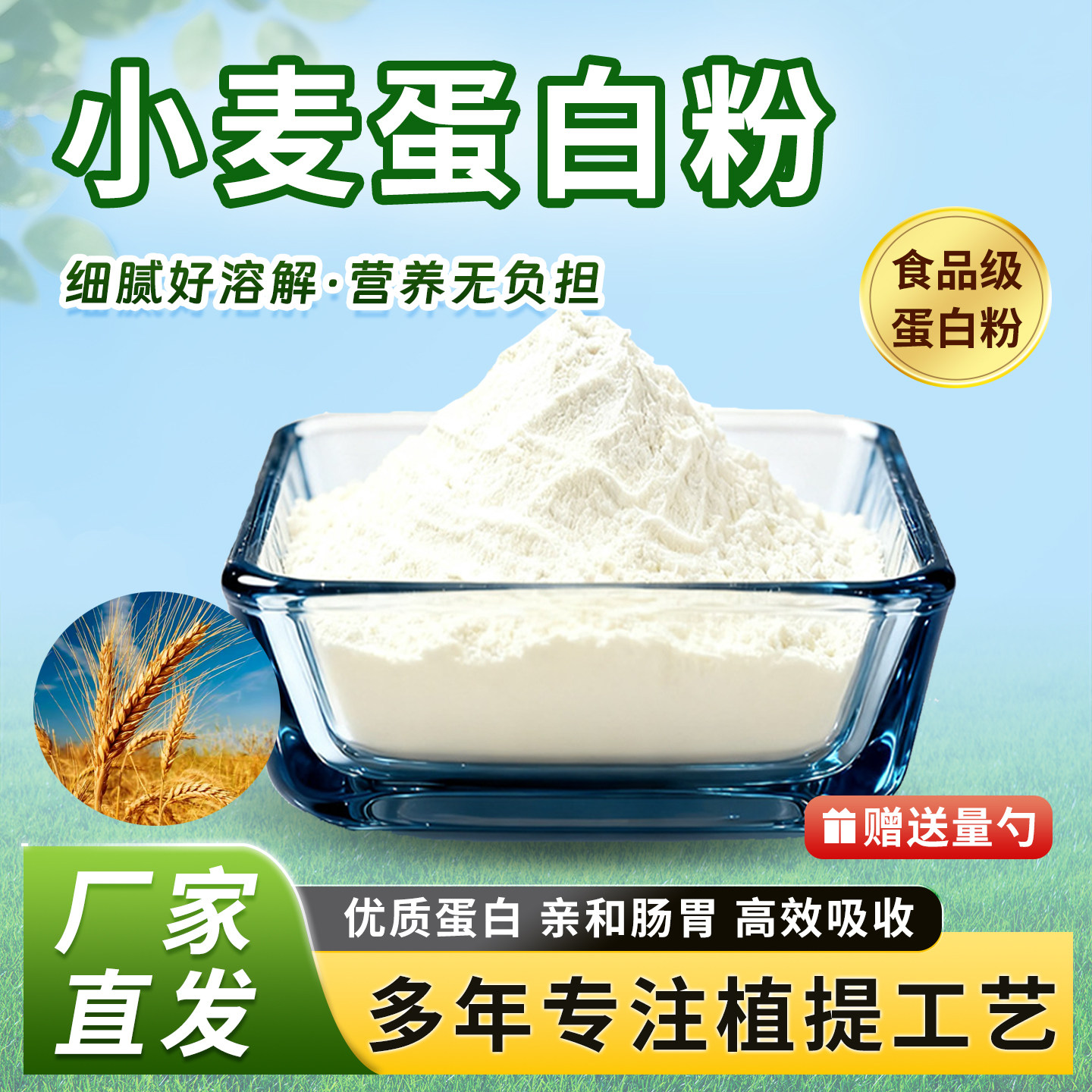 小麦蛋白粉80%小麦提取物营养增补剂 食品级水溶原料正品厂家直供