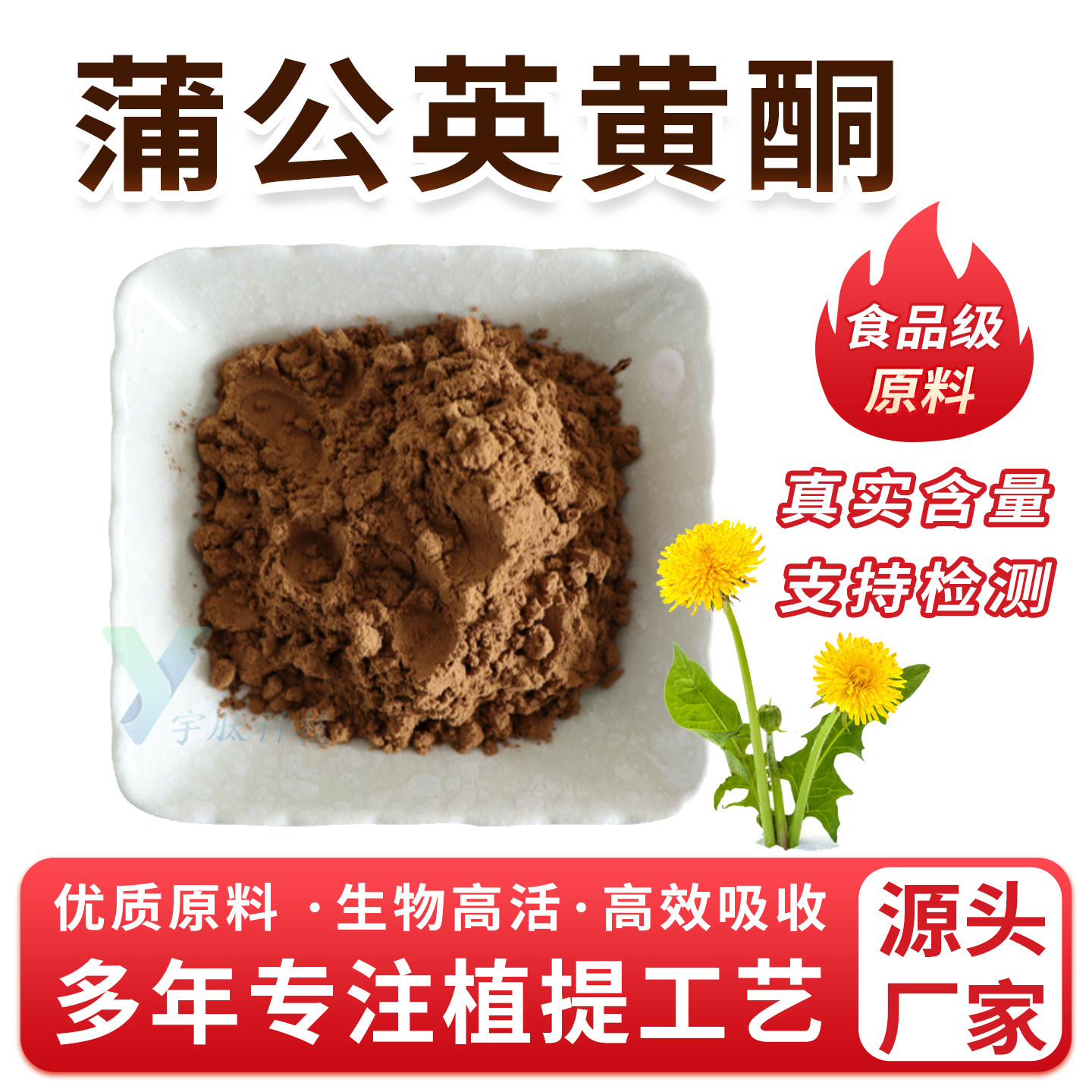 蒲公英黄酮10% 蒲公英提取物 食品级水溶原料黄酮粉 厂家正品袋装