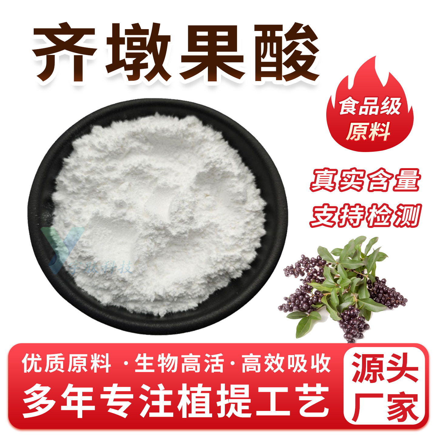 齐墩果酸98% 女贞子提取物 508-02-1土当归酸 食品级原料正品包邮