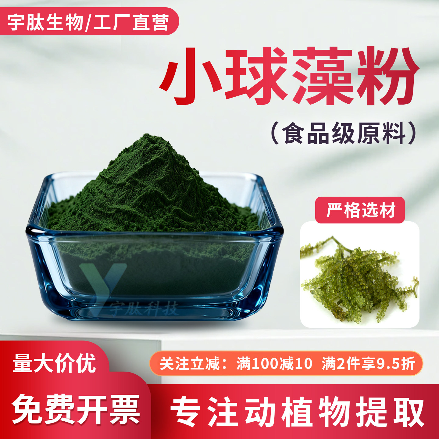 小球藻粉99% 破壁小球藻提取物绿藻粉食品原料蛋白核小球藻粉正品
