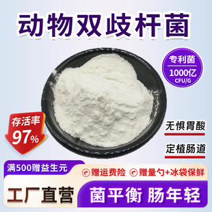 动物双歧杆菌 乳酸菌发酵高活性益生菌粉 食品级现货 1000亿CFU