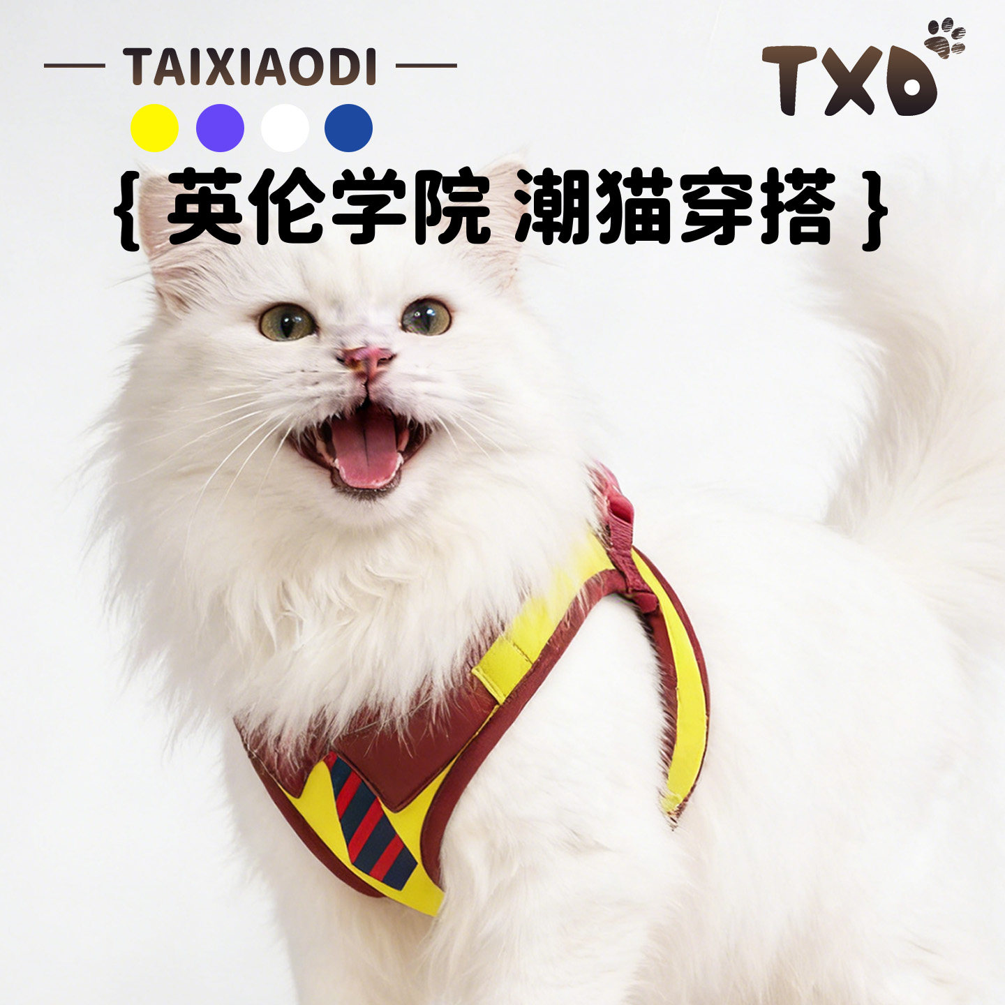 猫咪牵引绳背心式小猫胸背带防挣脱专用溜猫绳子舒适不勒牵猫背心