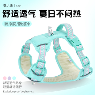 狗绳夏季 狗狗牵引绳宠物背带背心式 透气中小型犬柴犬比熊外出狗链