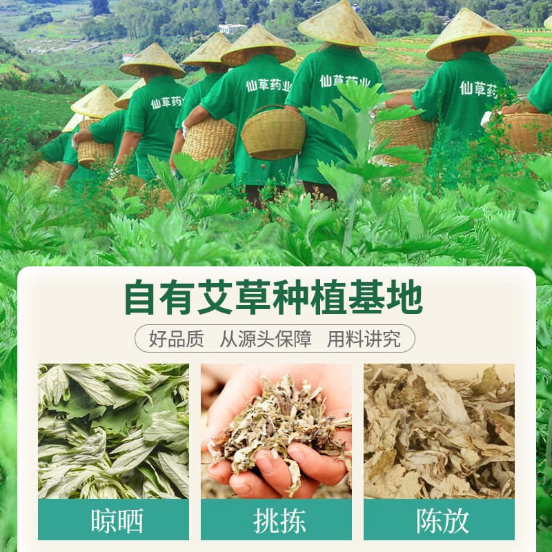 600g艾草艾叶 端午采摘袋装南阳艾草叶干艾叶泡脚艾草.包厂家