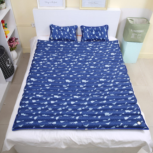 水床垫夏季降温冰床垫学生宿舍单人双人水床水垫床垫冰凉垫凉水席