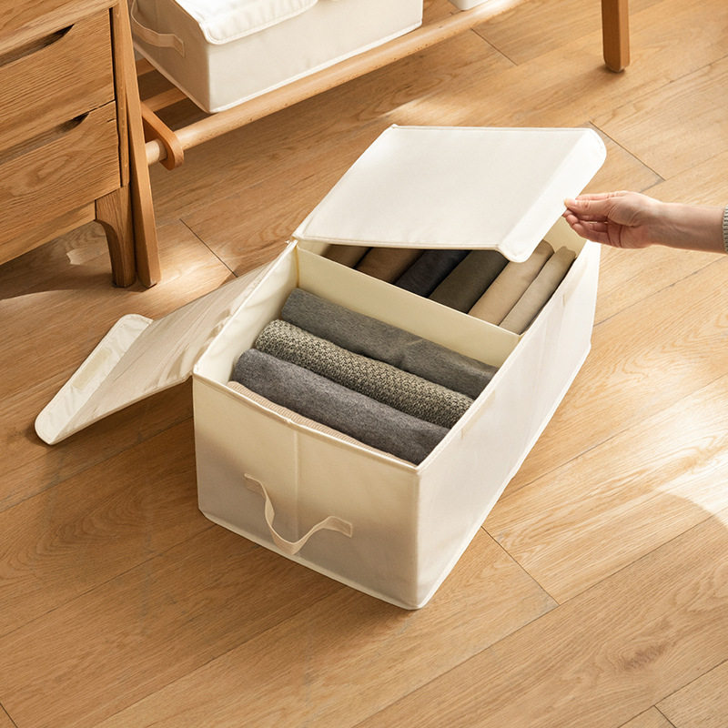 双门收纳箱放在衣柜里的收纳盒折叠收纳神器分隔衣物储物盒带盖子