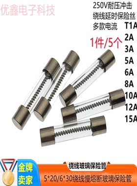 5*20/6X30mm 绕线慢熔断音响玻璃保险丝管 T1AL/2A/3A/5A-20A250V