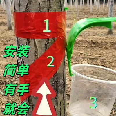 知了专用捕捉器知了猴捕捉神器探测自动知了猴收集器蝉幼虫捕捉金