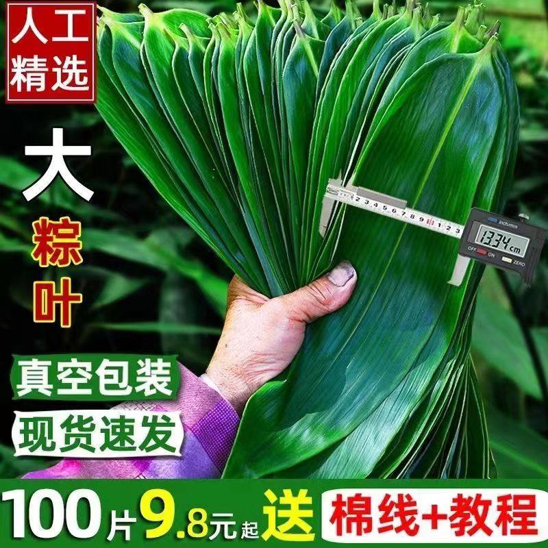 粽子叶新鲜大粽叶包粽子用野生天然家用真空袋装粽叶子箬竹叶