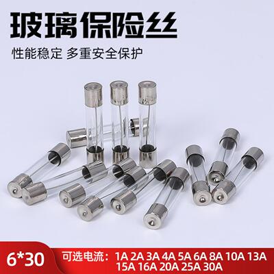 GlassFuse玻璃熔断器6*30保险