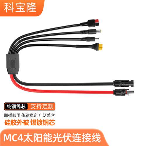 4转DC55217909XT60母头30A
