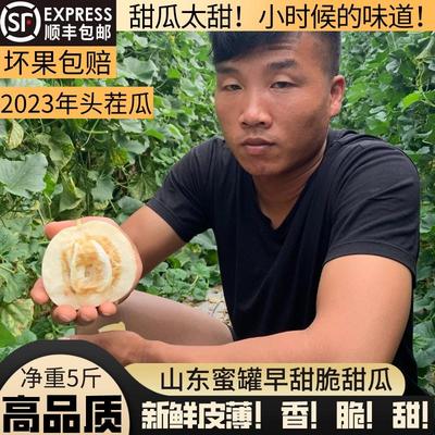 蜜罐香瓜甜瓜新鲜水果当季现摘小蜜蜂星甜20金乡白梨瓜早甜脆糖罐