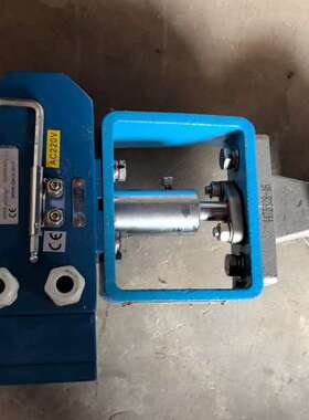 LINOR电动执行器，DN25规格，AC220V电压，蓝色外