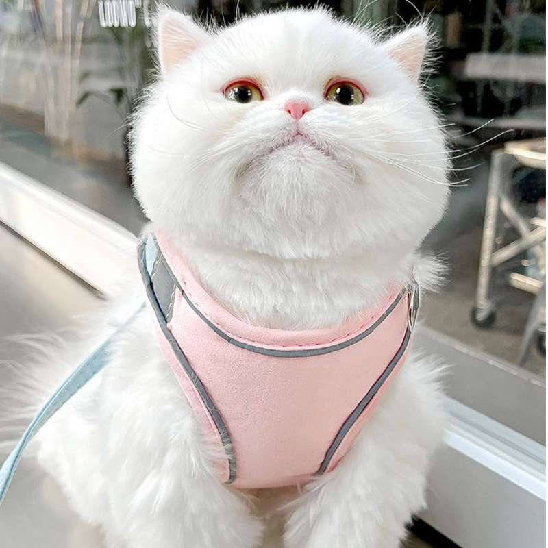 猫咪牵引绳背心式反光胸背带防挣脱外出遛猫专用绳狗狗宠物牵引绳