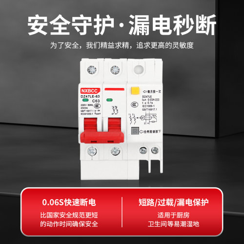 。工厂促销DZ47LE 2P63A空气开关带漏电保护器断路器两相家用总开
