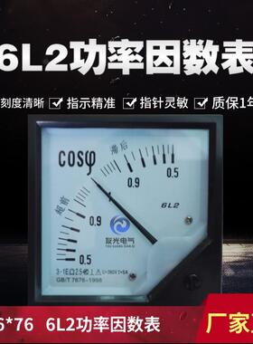 6L2 交流功率因素表 6L2--COSφ 指针功率因数表 380V/5A 100V/5A