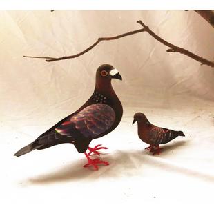 动物模型 仿真斑鸠 鸽子信鸽 白鸽仿真鸟摄影教科道具玩具