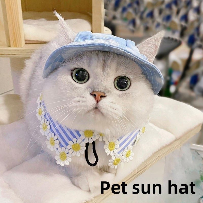夏季太阳帽的猫和狗与暴露的耳朵，可调节的渔夫帽，德国无毛猫宠,宠物/宠物食品及用品,帽子,淘宝优惠券,粉丝福利购,淘宝优惠卷