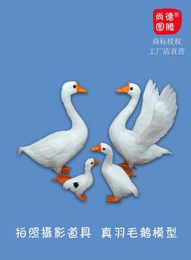 仿真鹅模型拍照大白鹅摆件室内园林草地装饰鹅摄影拍照道具鹅鸭子