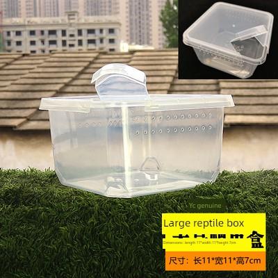 专业防越狱小幼体蜘蛛盒宠物火玫瑰印度华丽雨林太阳虎饲养盒蜘蛛