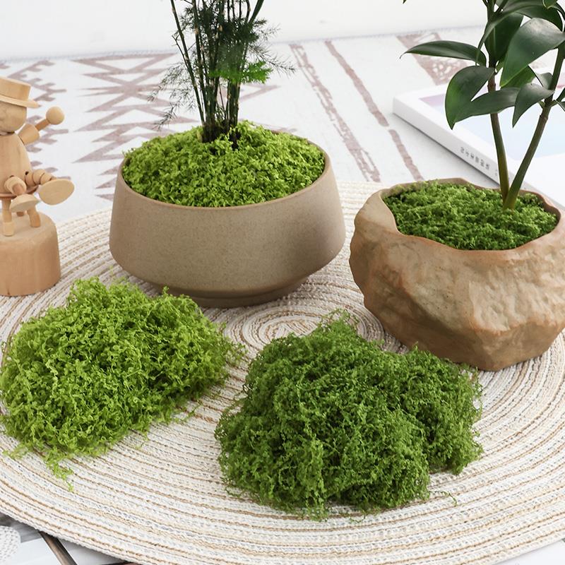 丝状彷真苔藓彷生人造草坪假青苔DIY微景观装饰材料盆栽铺面造景