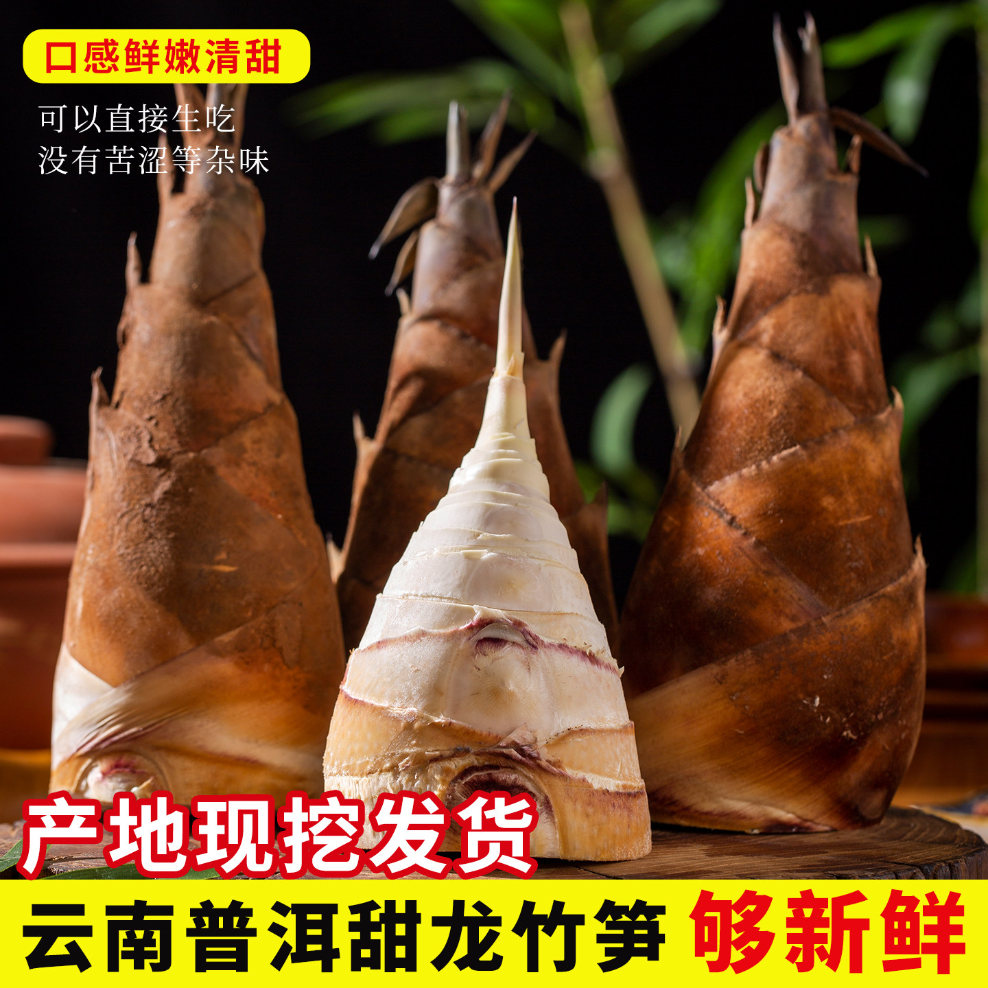 【顺丰包邮】云南万柏甜龙竹笋新竹笋