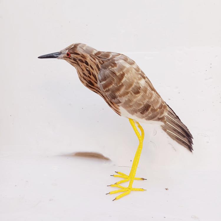 动物模型 仿真夜鹭羽毛黑冠夜游鸟园林摆件展览展厅摄影道具玩具