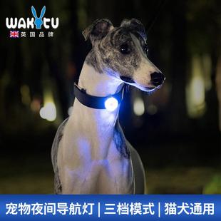 宠物狗狗夜间发光吊坠项圈挂饰晚上遛狗警示灯打猎犬防走失身份牌