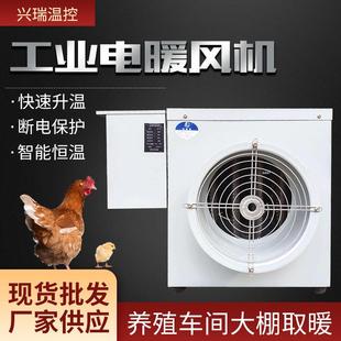 工业电暖风机大面积工厂大棚养殖育雏猪舍取暖器大功率电热风机