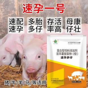 速孕多仔猪牛羊不打栏促孕宝母畜快速配种多胎多仔兽用发情快打栏