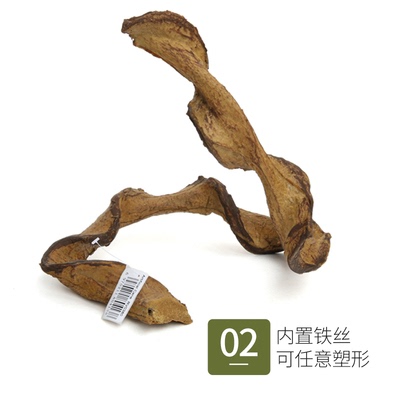 REPTIZOO爬虫攀爬藤条树藤变色龙绿鬣守宫睫角蜘蜴树蛙爬宠造景
