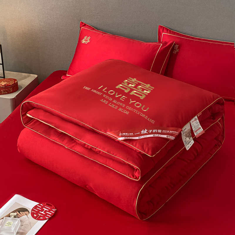 2023新款大红色结婚陪嫁被芯婚庆喜被单双人被子四季通用冬被保暖,床上用品,化纤被,淘宝优惠券,粉丝福利购,淘宝优惠卷
