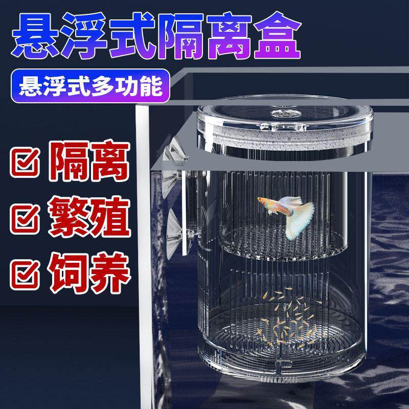 水族箱隔离盒孔雀鱼繁殖盒鱼缸亚克力孵化吸盘式悬浮产卵器内用