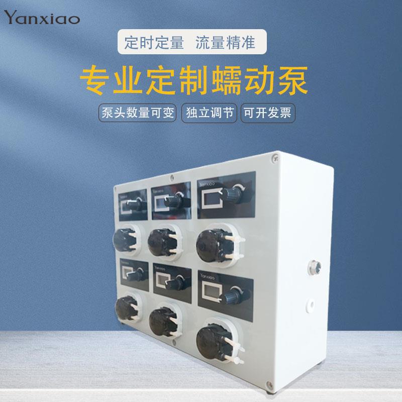 蠕动泵多通道调速定时定量多头蠕动泵灌装实验恒流定制双头计量泵