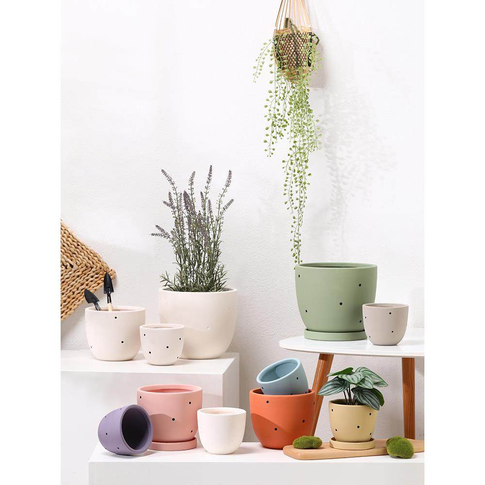 轻奢高级感斑点圆形陶瓷花盆带托盘蝴蝶兰绿植多肉陶土盆吸水大号,鲜花速递/花卉仿真/绿植园艺,花盆,淘宝优惠券,粉丝福利购,淘宝优惠卷