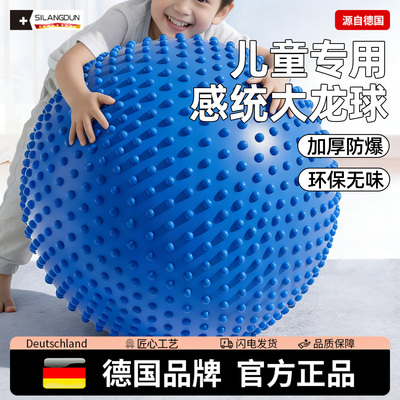 德国-SLD/儿童感统训练大龙球