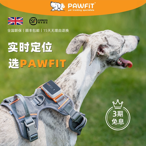 英国PAWFIT宠物定位器实时追踪