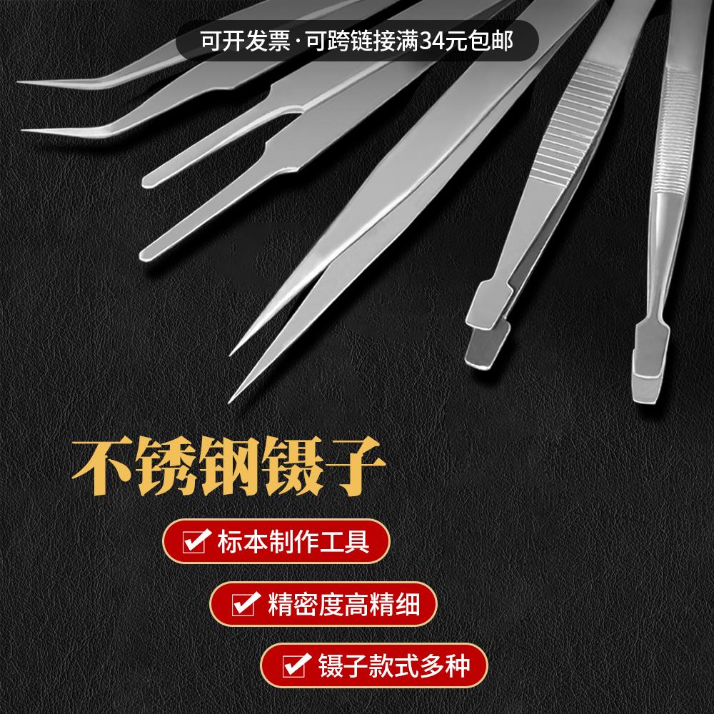 不锈钢镊子蝴蝶昆虫展翅材料扁头圆头尖头弯头标本制作工具镊子