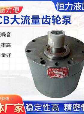 DCB-B160/B200/B250/B00/B400/B500低噪音大流量斜齿轮泵