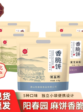 湖北传统手工芝麻饼休闲办公旅游代餐特产糕点零食礼包伴侣518g