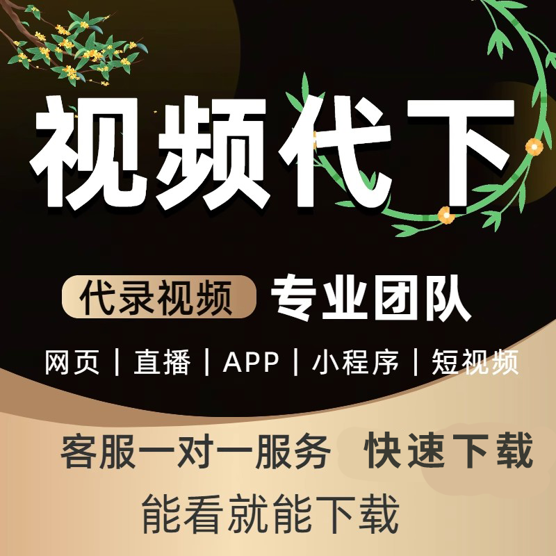 网页视频代下载各类小程序视频提取mp4代录制直播会议视频代下载