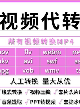 视频无损压缩瘦身mov avi flv mkv ppt webm ts格式转换修改为mp4