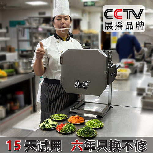 厚洋多功能切菜机【新款升级】
