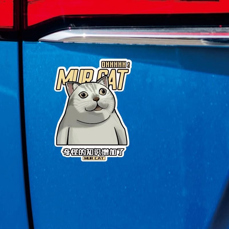 车辆车身划痕贴纸 车贴 创意 猫表情包 奇怪的知识增加了搞笑车贴