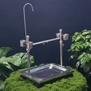 鹦鹉不锈钢架子虎皮和尚鸟架太阳玄凤中小型牡丹八哥鸟站栖息小型