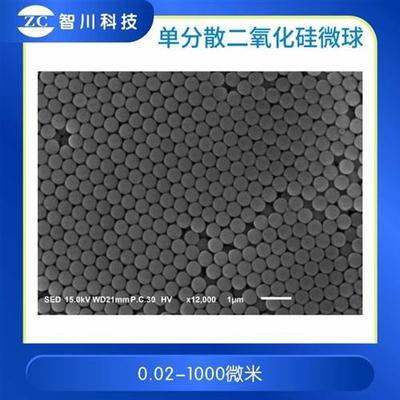 单分散二氧化硅纳米微球 (0.02-200微米)羧/氨/巯基 光子晶体