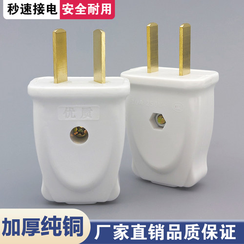 正品插头二脚两10a家用通