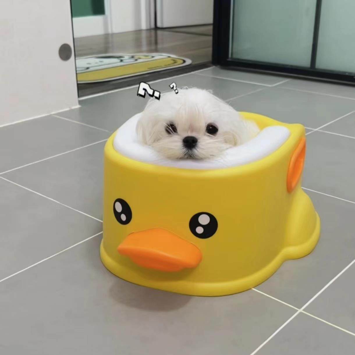 小黄鸭狗狗洗澡盆猫咪宠物小狗浴盆泡澡浴盆桶小型犬防侧翻浴缸盆