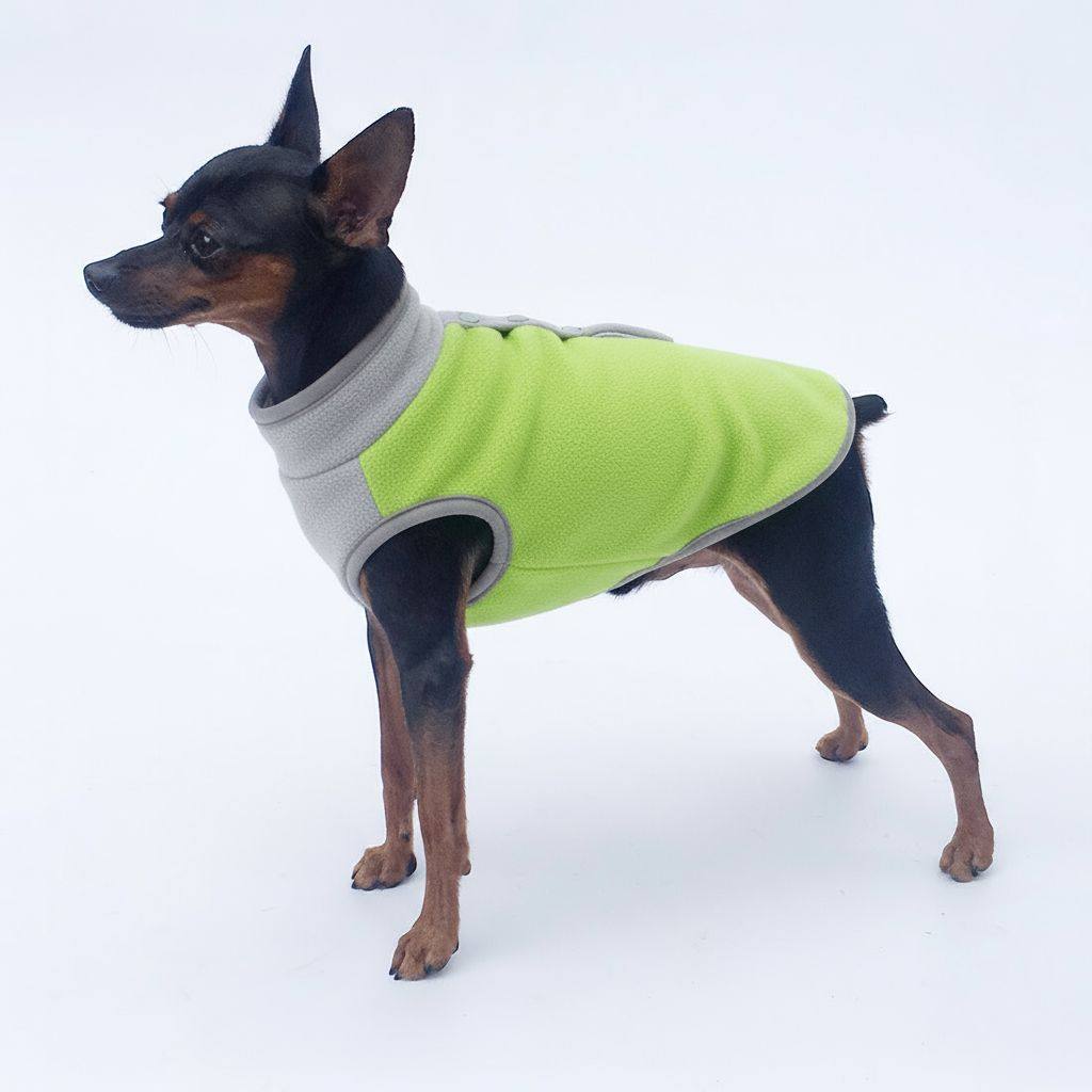 小鹿犬吉娃娃专用衣服狗狗冬季冬天小体幼犬秋冬1斤中小型加厚 用